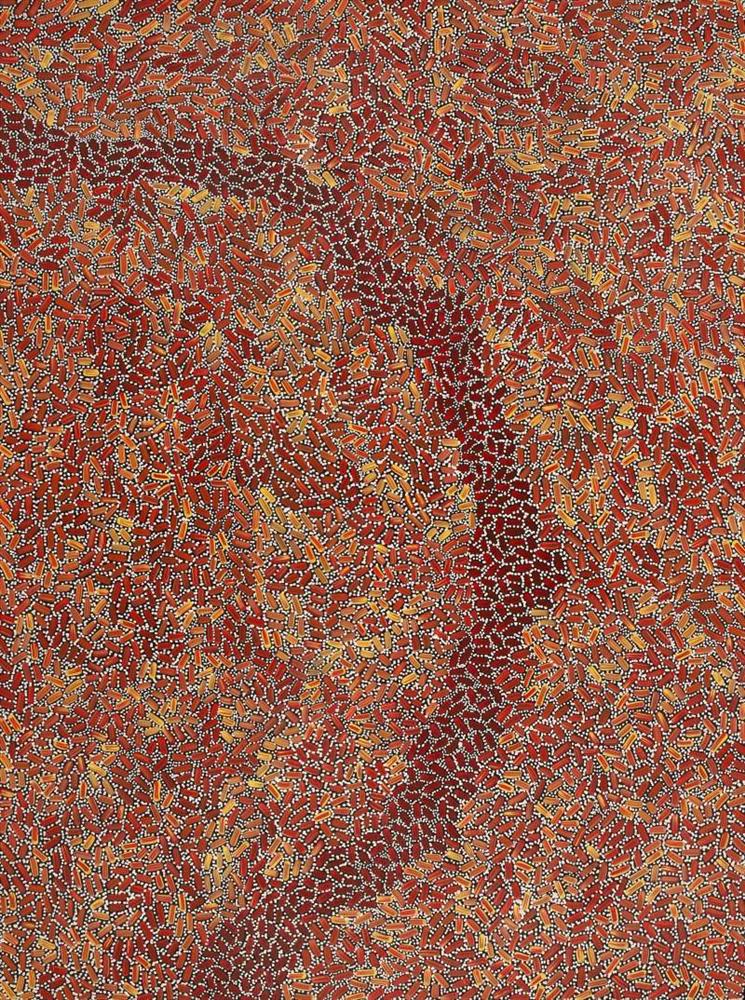 Warlukurlangu Jukurrpa (Fire country Dreaming) Nathania Nangala Granites Acrylic on canvas 48” x 36”