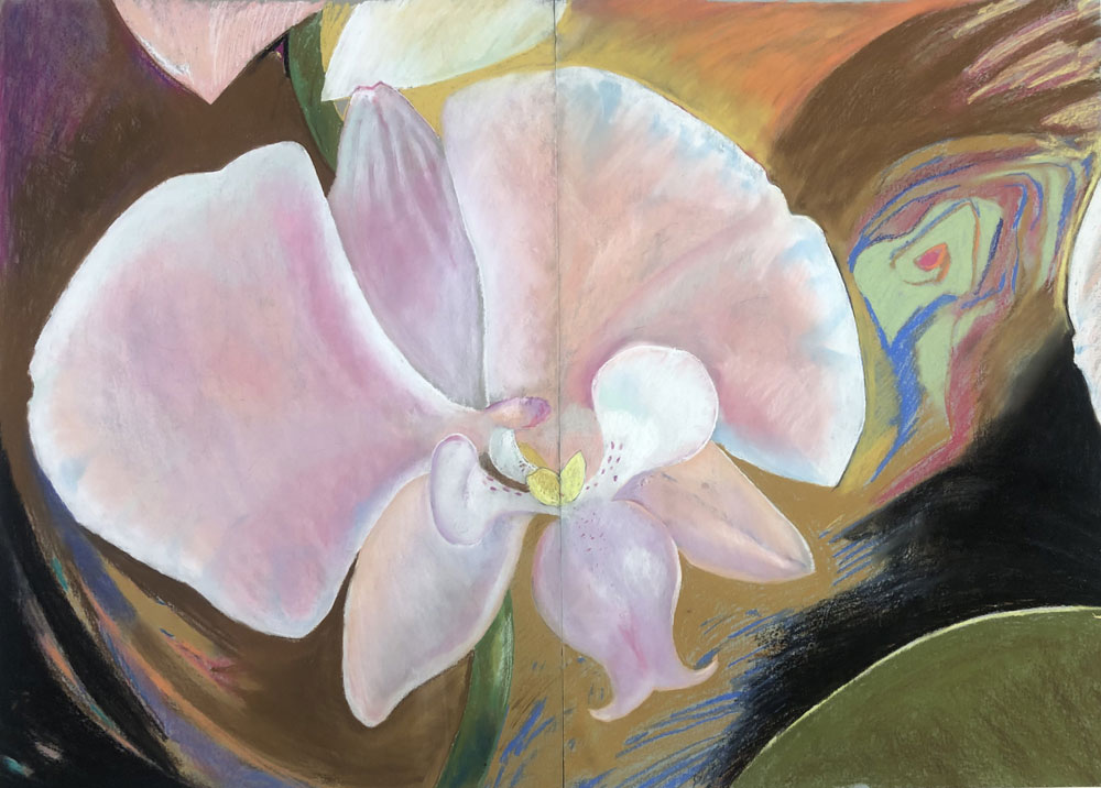 “Phalaenopsis sanderiana” Pastel on paper 39 1/2” x 55”