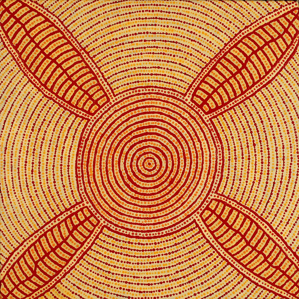 Yarla Jukurrpa (Bush Potato Dreaming) - Cockatoo Creek” Josiah Jupurrurla Walker Acrylic on canvas 24” x 24”